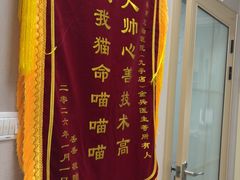 -瑞鹏宠物医院·骨外科·心肾科·肿瘤科(九亭店)