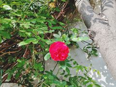 -中国汉城景区
