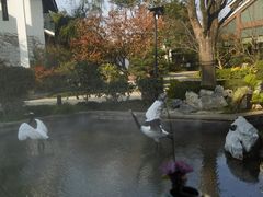 -广富林宰相府酒店·水云间