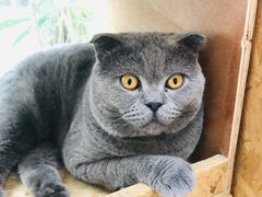 -拾壹cafe·工作室