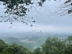 -大奇山国家森林公园