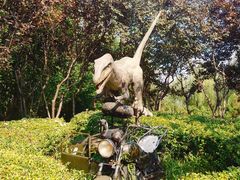 -北京野生动物园