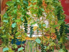 -快乐老家三鲜饺子东北菜(南六中路店)