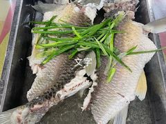 瘦身大头鱼-美莓农场