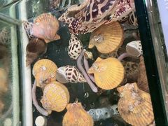-海门岛七号餐厅