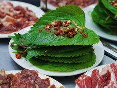 拌苏子叶-松明一烤肉馆(鲁园店)