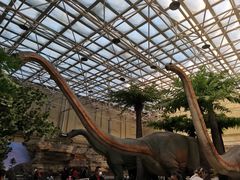 -国家自然博物馆