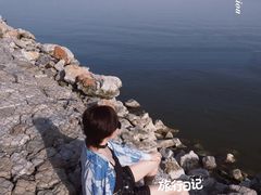 -合肥滨湖国家森林公园