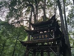 -青城山