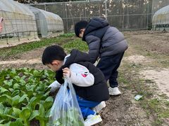 -前小桔亲子创意农场·草莓采摘·露营烧烤