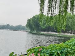 -什刹海
