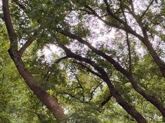 -应天大明王朝·南京菜(中山陵店)