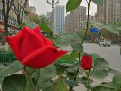 -小八仙·宴(三峡茶庄店)