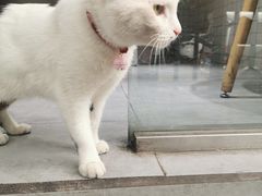 -丁先生蛋糕·品质鲜作(桐梓林店)