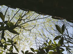 -拙政园