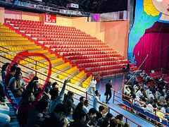 -俄罗斯国家大马戏团