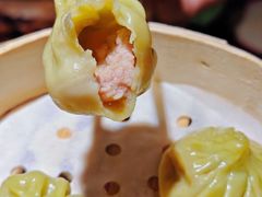 -丝恋丝娃娃(逸天城国贸店)