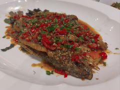 -饭怕鱼·黄焖鲟龙鱼(湖大店)