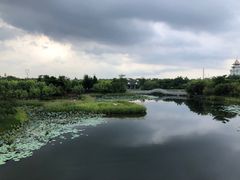 -映月湖公园