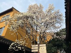 -龙华寺