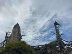 -贵州森林野生动物园