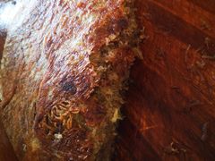 牛肉馍-李氏祖传牛肉馍(和平路·沁园小区店)