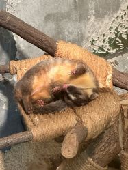 -Zoolung Zoolung动物主题公园(海信广场店)