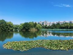 -新江湾城公园