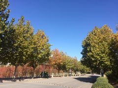 -山东大学(兴隆山校区)