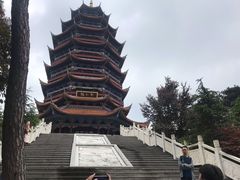 -铁山坪森林公园