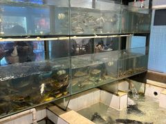 -小乡小镇·传承桐庐土菜·老板亲自烧的菜