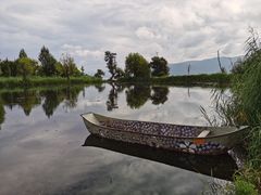 -才村湿地公园