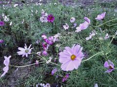 -汉长安城未央宫国家考古遗址公园