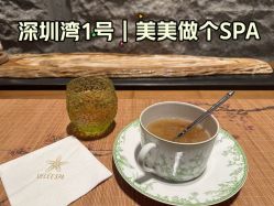 -VELEE·SPA高定疗愈会所