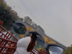 -西安汉城湖景区