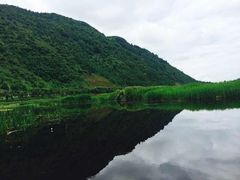 -腾冲北海湿地