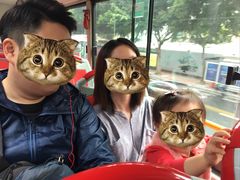 -广州都市观光巴士(粤陶巴)