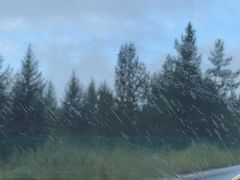 -塞罕坝国家级自然保护区