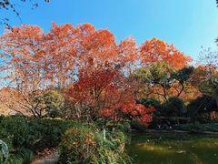 -杭州黄龙洞