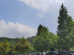 -天目湖松岭竹海漂流