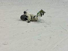 -绍兴启迪乔波冰雪世界