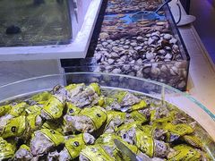 -聚盛源蒸汽海鲜火锅烤肉自助(巨川金海岸购物广场店)