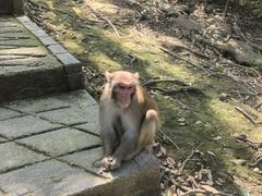 -广西龙虎山风景区