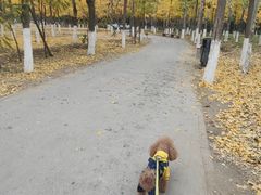 -绿堤公园