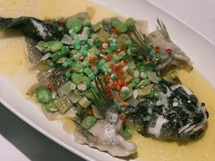 -南麓·浙里(外滩店)