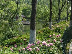 -幕燕滨江·长江观音景区