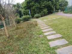 -两河城市森林公园