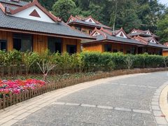 -野象谷景区