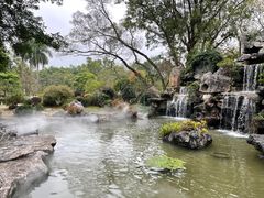 -东莞植物园