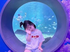 -常州海昌海洋探索馆
